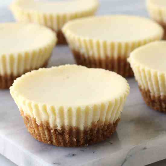 Mini Cheesecakes