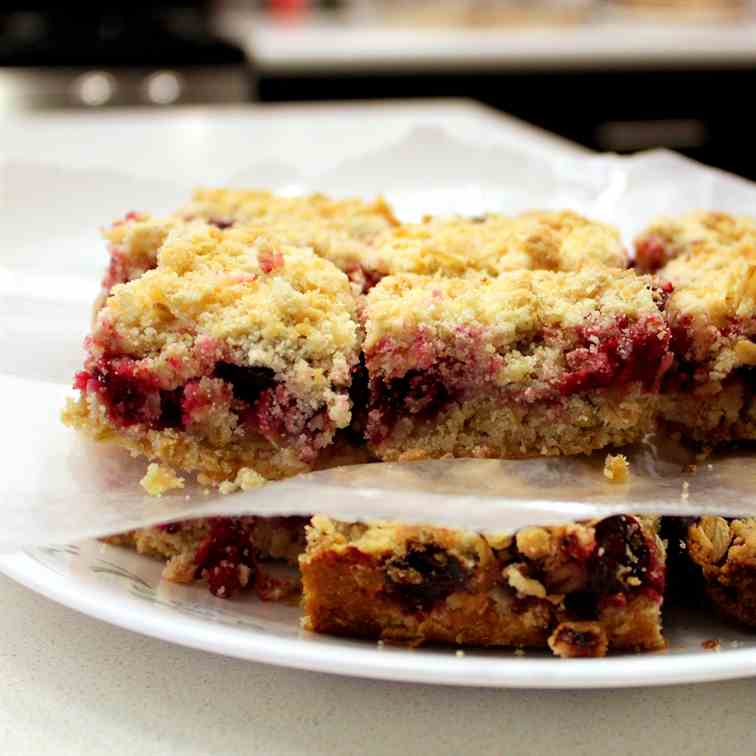 Cranberry Crumb Bars