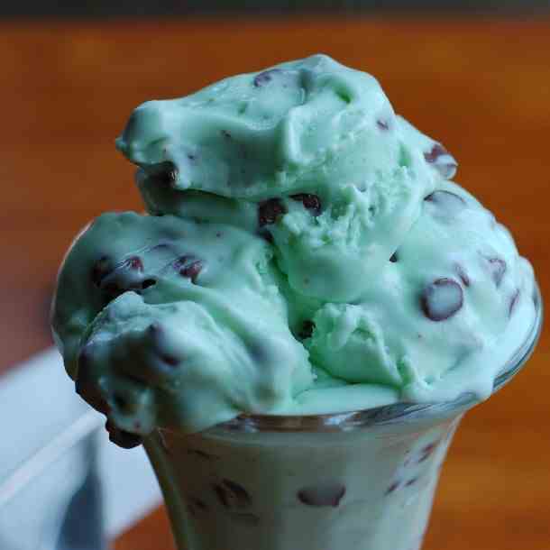 Mint Chocolate Chip Ice Cream