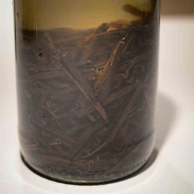 Homemade Vanilla Extract