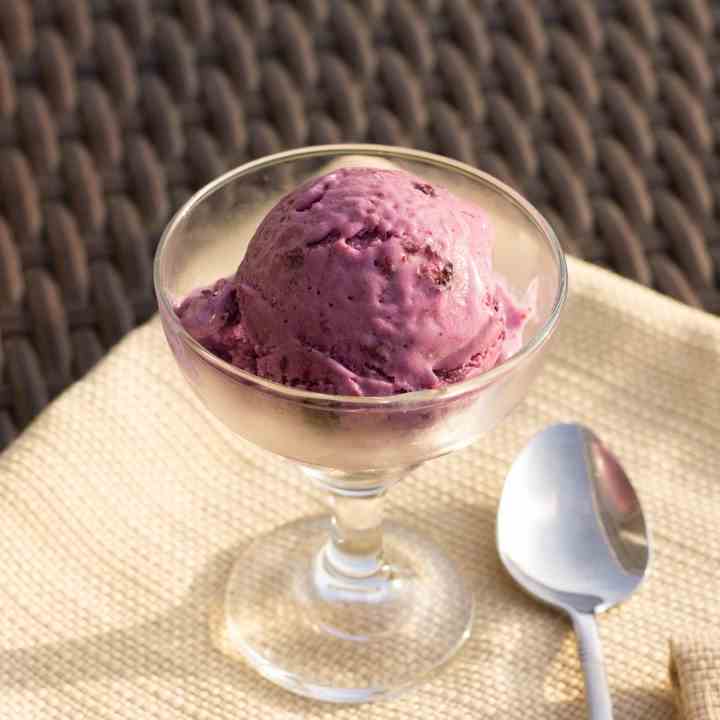 Dairy Free Blueberry Coconut Ice Cream