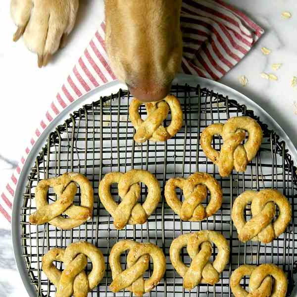 Oat and Apple Dog Treats