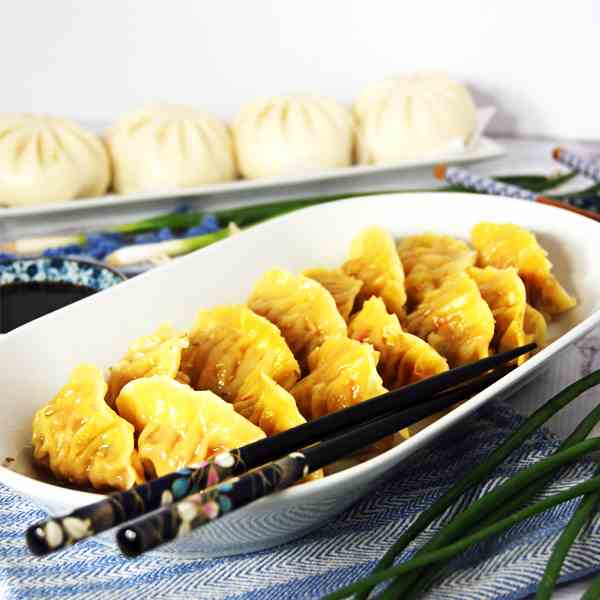 Chicken and Shrimp Potstickers