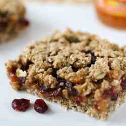 Whole Grain Cranberry Apricot Bars