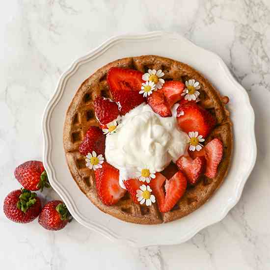 Chocolate Waffles from Scratch