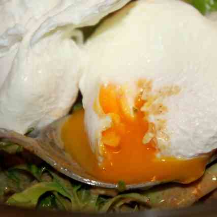 Poached Eggs