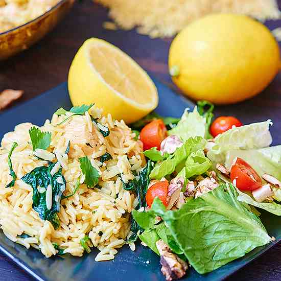 Lemon Garlic Chicken and Orzo Pasta