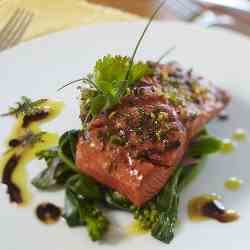 Niko`s Wild Salmon Marinade Recipe