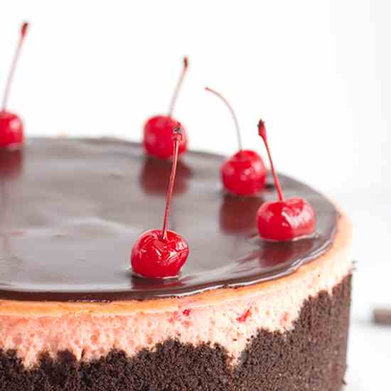 Cherry Chocolate Chip Cheesecake