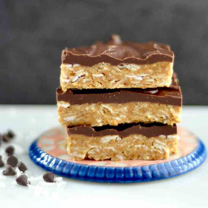 Chocolate Peanut Butter Coconut Bars