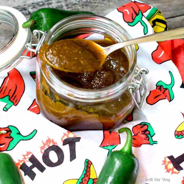 Smokin Hot Chipotles in Adobo Sauce