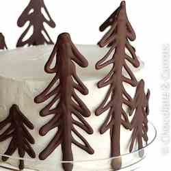 Chocolate Raspberry Forest Cake {Birthday}
