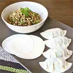 Pork, Peanut and Coriander Pot Stickers