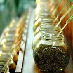 Herbs and Spices