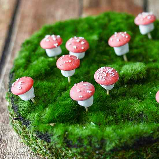 Chocolate Marshmallow Toadstools