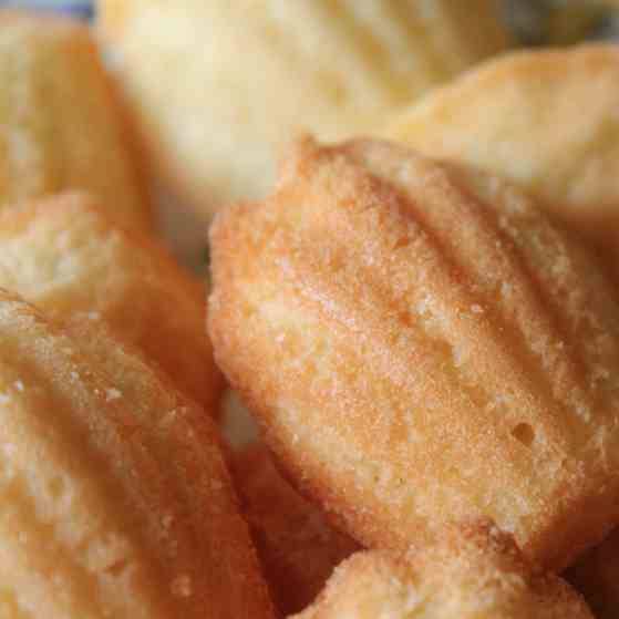 Lavender Madeleines