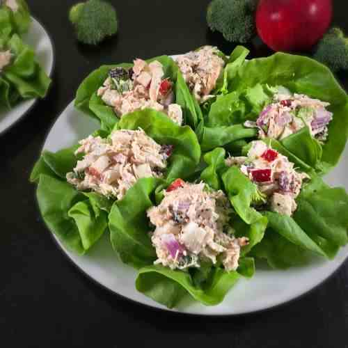 Chicken Salad with Yogurt Recipe