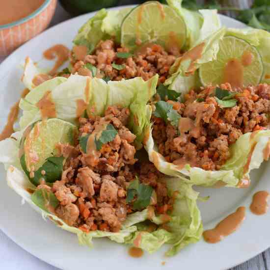 Chicken Lettuce Wraps