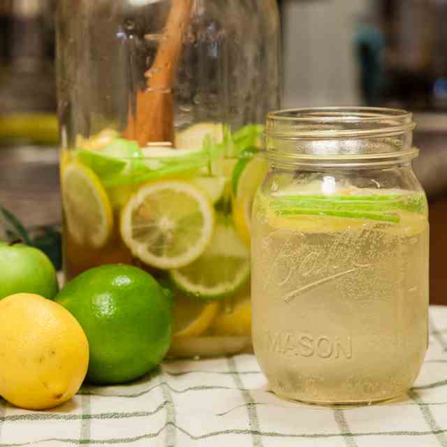 White Wine Sangria Spritzer