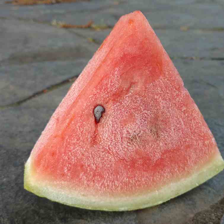 1 Ingredient Watermelon Popsicles
