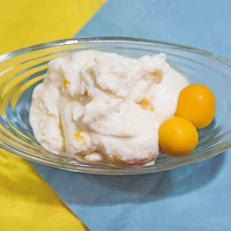 Spiced Kumquat Ice Cream