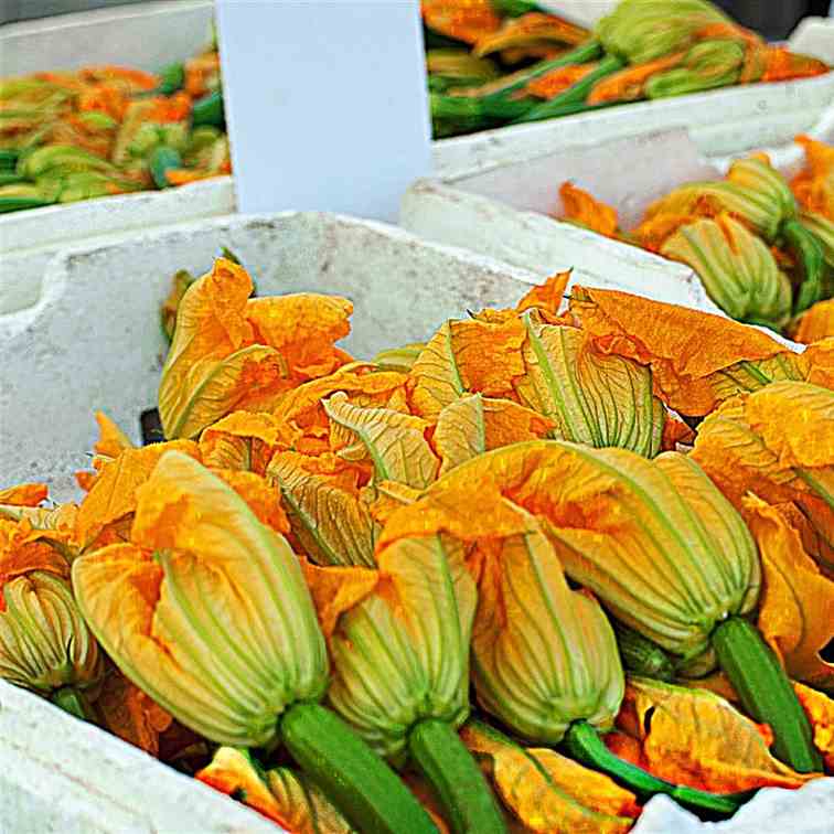 Fried Zucchini Blossoms