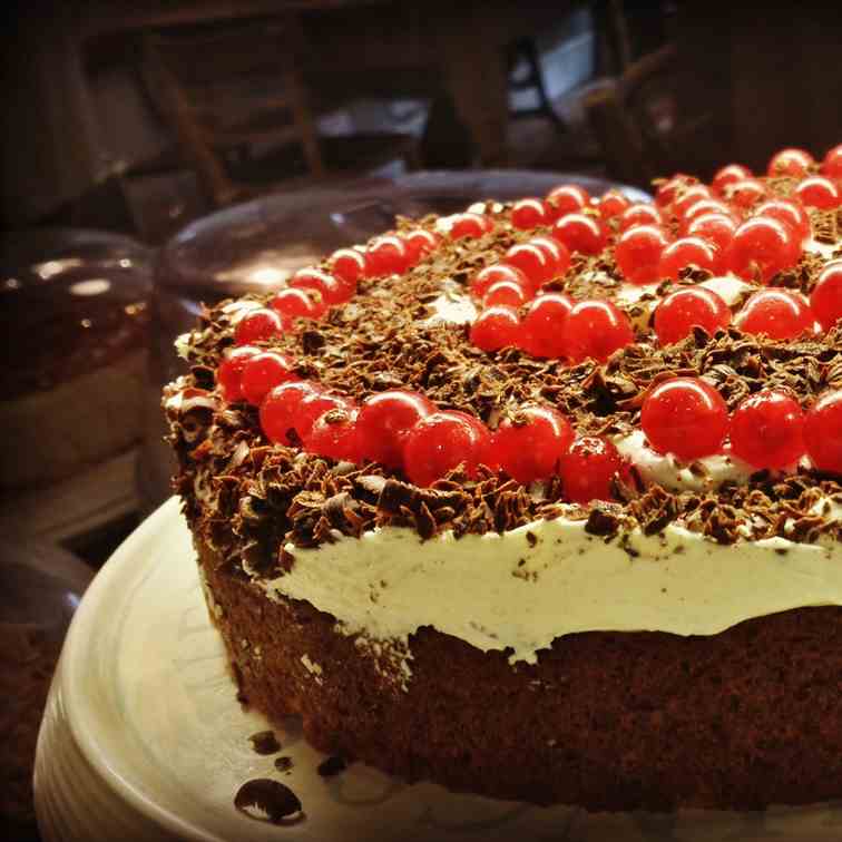 Chocolate Redcurrant Torte