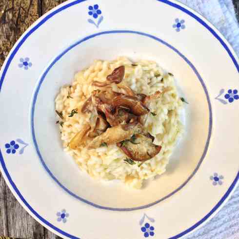 Mushroom risotto