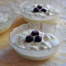 Homemade Greek Yogurt