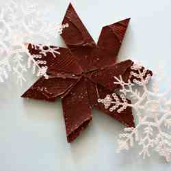 Chocolate-Covered Shortbread Cookies