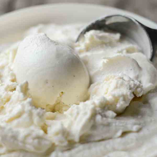 Vanilla Bean Ice Cream