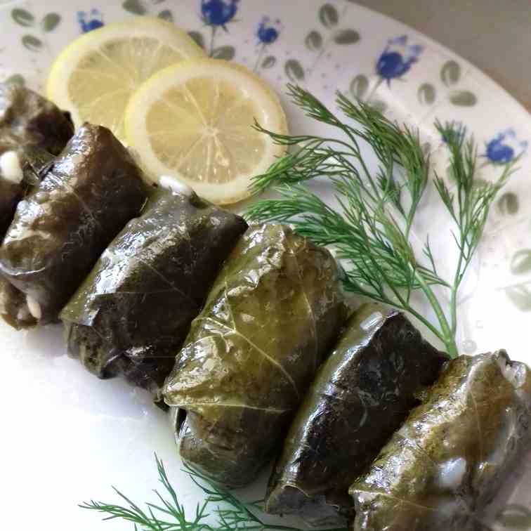 Traditional Greek Stuffed Vine Leaves