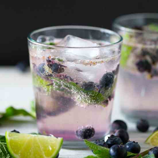 Blueberry Mojito