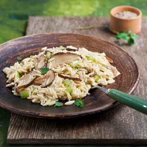 Barley-shaped buffalo milk pasta with drie