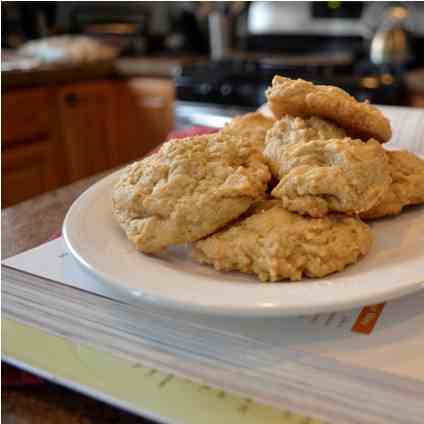 Spicy Applesauce Cookies