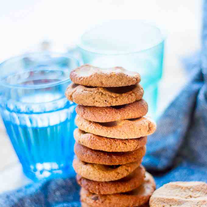 Sugar Free Ginger Biscuits