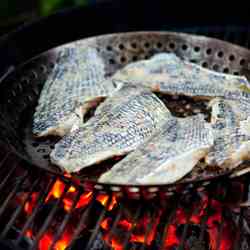 Grilled Black Sea Bass