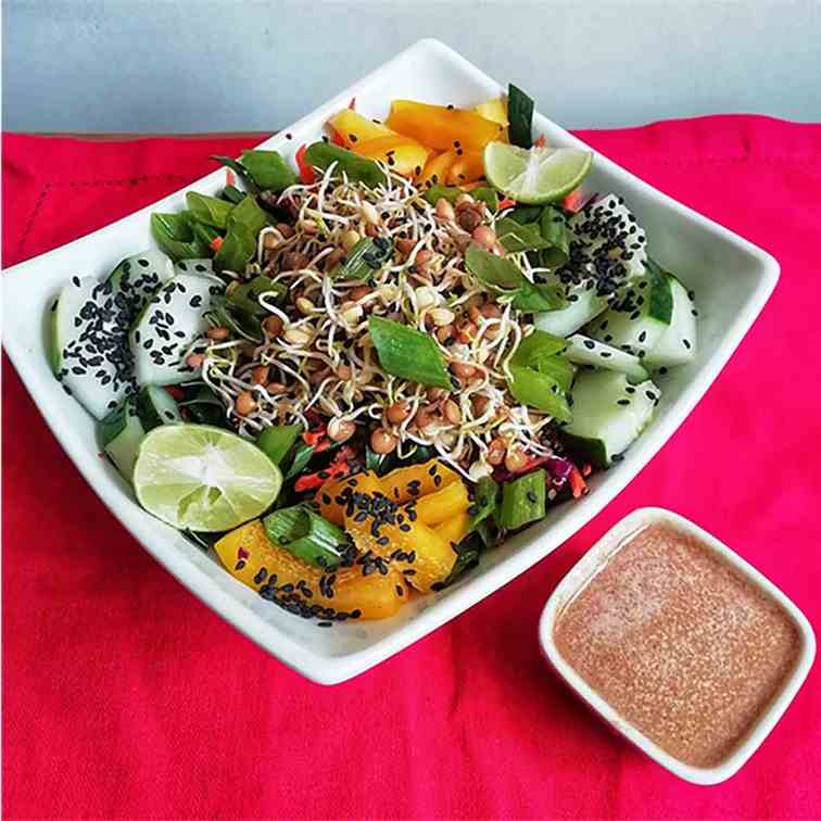 Asian Sprouted Lentil Salad 