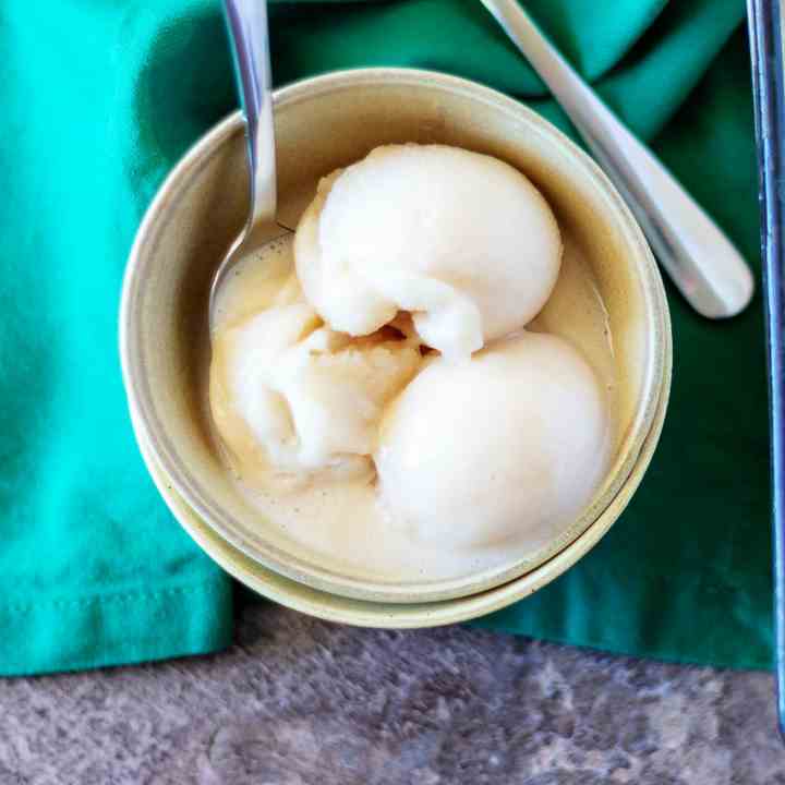 Vanilla Almond Milk Ice Cream