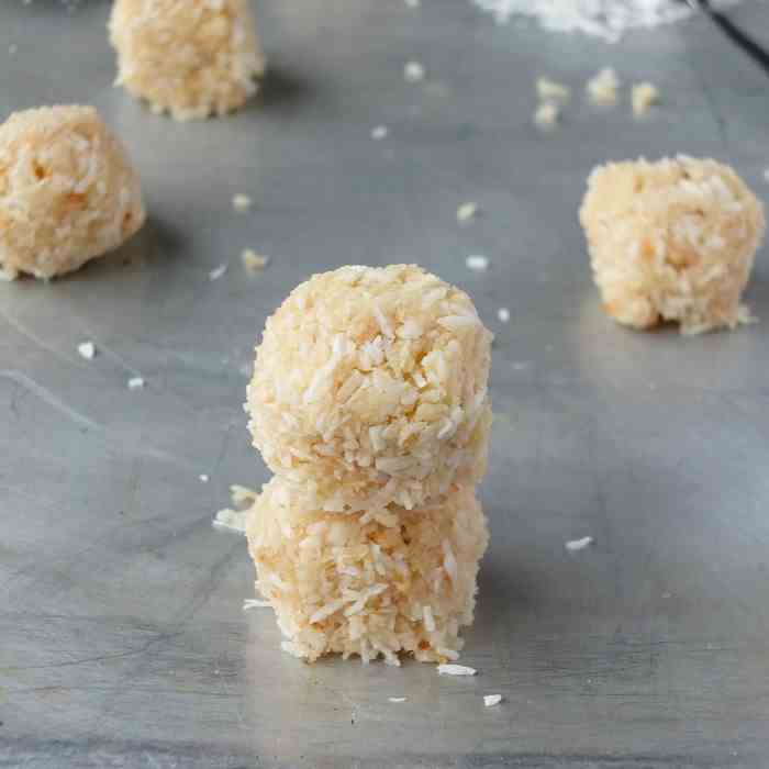 5 Ingredient No Bake Macaroons