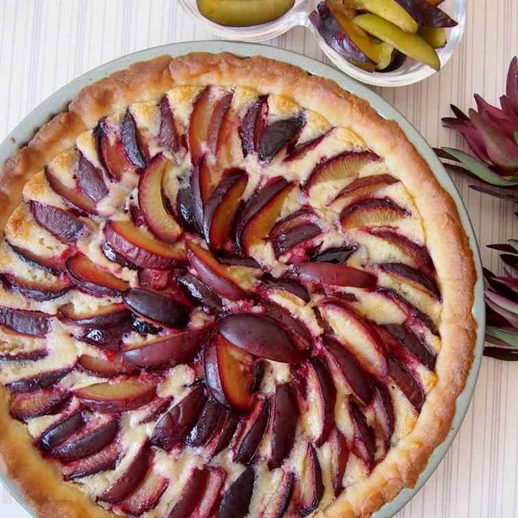 Plum Tart with Almond Cream