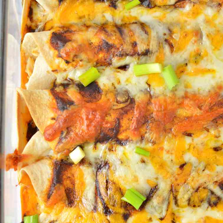 Chicken Enchiladas