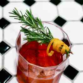 Negroni Cocktail 