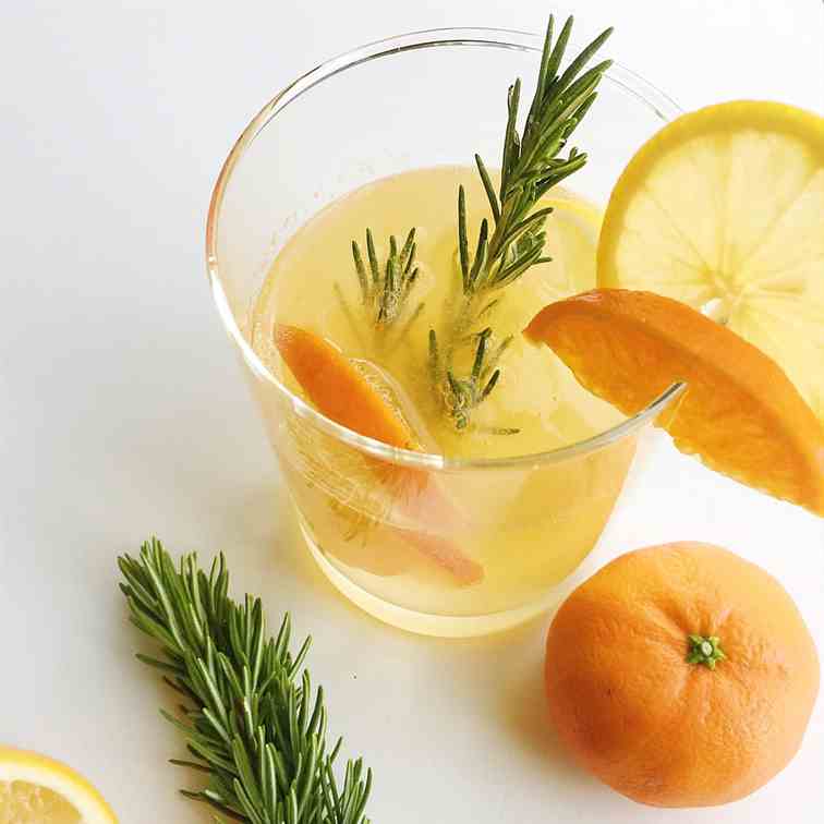 Rosemary Citrus Gin and Tonic