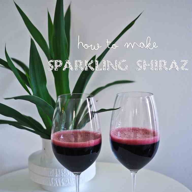 Sparkling Shiraz