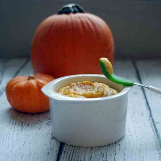 Baby Food Pumpkin Pie