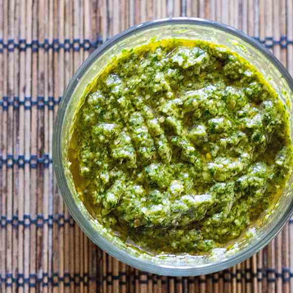 Cilantro and Green Onion Pesto