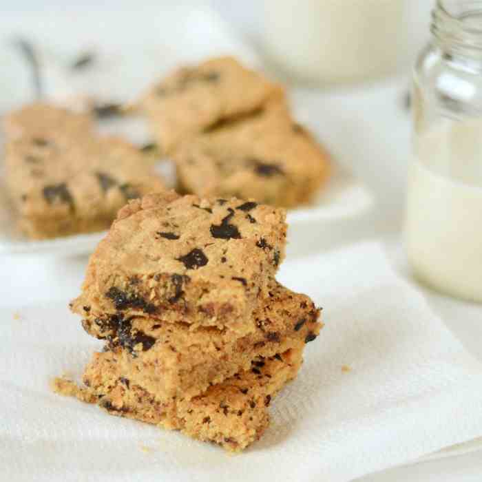 Peanut Butter Chocolate Chunk Blondies