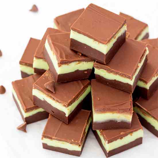 Mint Chocolate Fudge