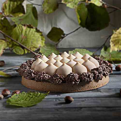 Gianduja tart